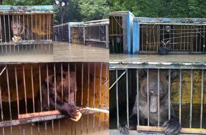 Как приостановить гибрид?