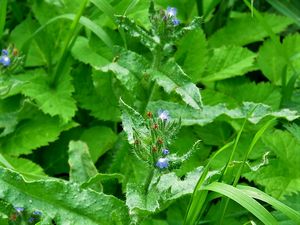 На вкус и цвет.