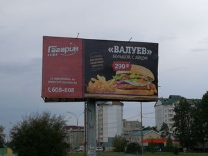 Нелегальное задержание доставление