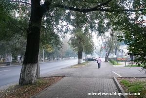 Откуда пахнет сероватой