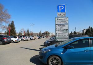 Парковка автомобилей стала продуктом в глобальной сети