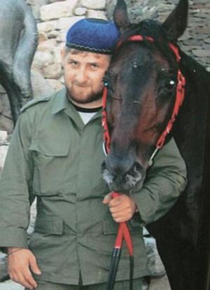По жеребцам!
