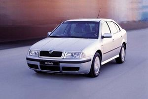 Skoda octavia combi. поход на будеёвице