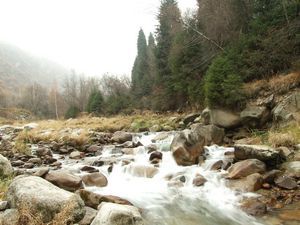 Стробоскопы с особинкой