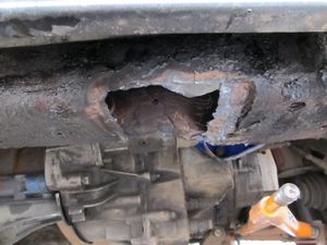 Телек в бороде (телек, борода, Videovox PAV-900) Телек в бороде