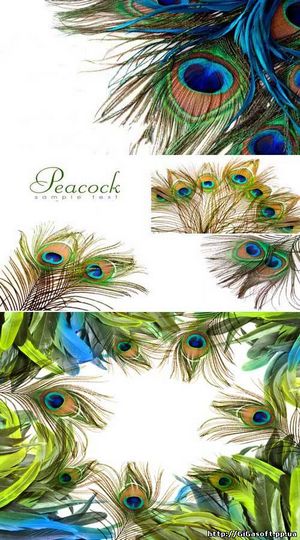 Зимние шалости (зимний, шалость, начала года) Зимние шалости